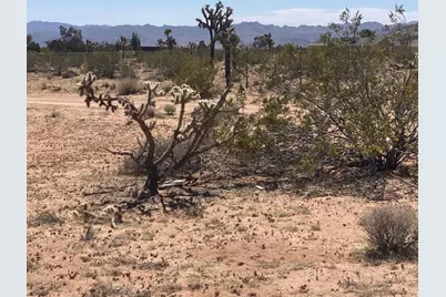 60726 Trentwood Drive, Joshua Tree, CA 92252 - Photo 12