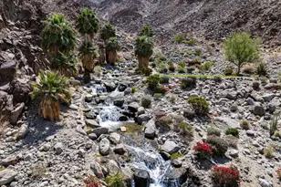 78691 Talking Rock Turn, La Quinta, CA 92253 - Photo 24