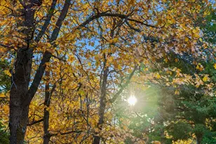 1614 S Colusa Dr, Big Bear City, CA 92314 - Photo 48