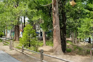 163 Bret Harte Rd, Lake Arrowhead, CA 92352 - Photo 40