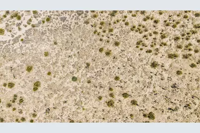 0 Ave W4 Drt Vic 98th Ste, Pearblossom, CA 93553 - Photo 20