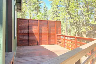 317 Spruce Ln, Sugarloaf, CA 92386 - Photo 36