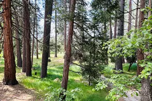 53341 Sherman Dr, Idyllwild, CA 92549 - Photo 22