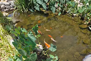 65650 10th St, Desert Hot Springs, CA 92240 - Photo 12