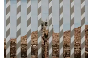 8256 Quail Springs Rd, Joshua Tree, CA 92252 - Photo 10