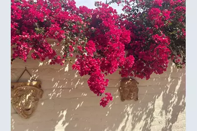 84136 Ave 44, 619 #619, Indio, CA 92203 - Photo 8