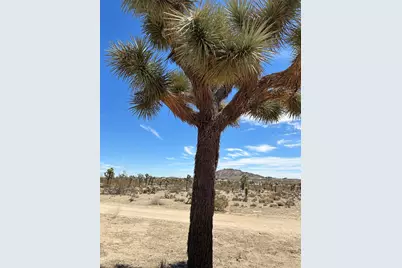 0 Sun Oro Road, Yucca Valley, CA 92284 - Photo 6