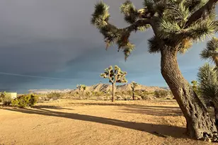 60010 Darlinda Dr, Yucca Valley, CA 92284 - Photo 70