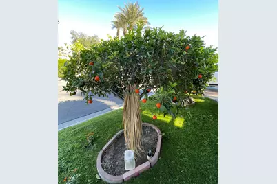 81620 Avenue 49 #1A, Indio, CA 92201 - Photo 18