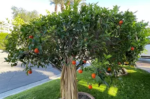 81620 Ave 49, Indio, CA 92201 - Photo 18