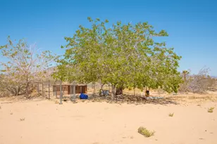 58522 Reche Rd, Landers, CA 92285 - Photo 22