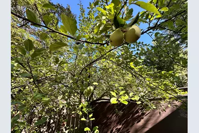 26350 Delano Drive #1, Idyllwild, CA 92549 - Photo 30