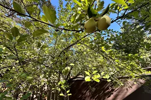 26350 Delano Dr, Idyllwild, CA 92549 - Photo 30