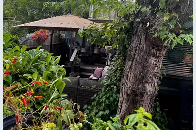 26350 Delano Drive #1, Idyllwild, CA 92549 - Photo 36