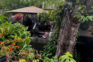 26350 Delano Dr, Idyllwild, CA 92549 - Photo 36