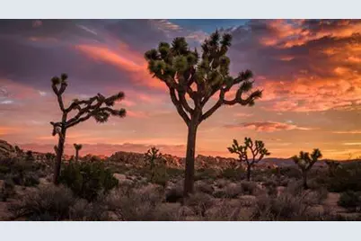 Hwy Ca-62, Joshua Tree, CA 92252 - Photo 2