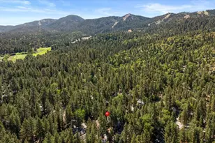 42639 Cedar Ave, Big Bear Lake, CA 92315 - Photo 4