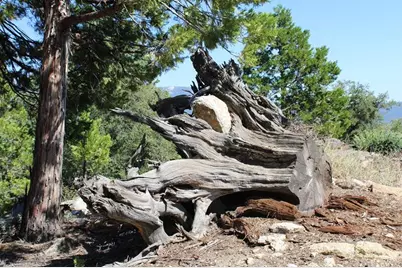 0 Gibbs-Gully, Idyllwild, CA 92549 - Photo 18