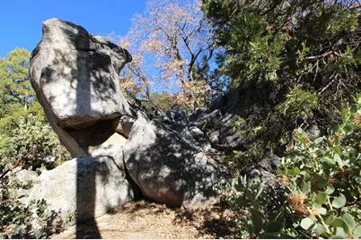 0 Gibbs-Gully, Idyllwild, CA 92549 - Photo 14