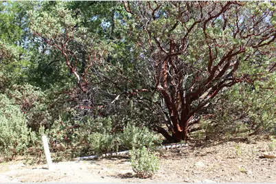 0 Gibbs-Gully, Idyllwild, CA 92549 - Photo 16
