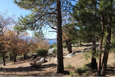 0 Gibbs-Gully, Idyllwild, CA 92549 - Photo 12