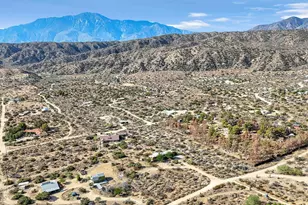 48819 Bird of Paradise, Morongo Valley, CA 92256 - Photo 72