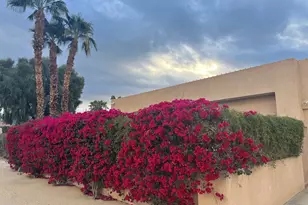 44755 Deep Canyon Rd, Palm Desert, CA 92260 - Photo 2