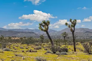 1135 Warren Vista Ave, Yucca Valley, CA 92284 - Photo 16