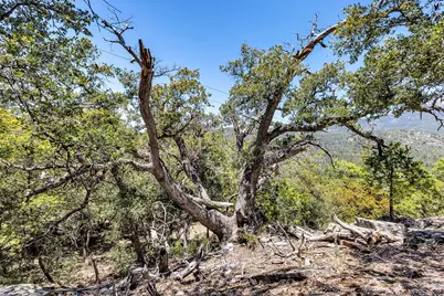 53021 Inspiration Lane, Idyllwild, CA 92549 - Photo 52