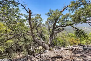 53021 Inspiration Ln, Idyllwild, CA 92549 - Photo 52
