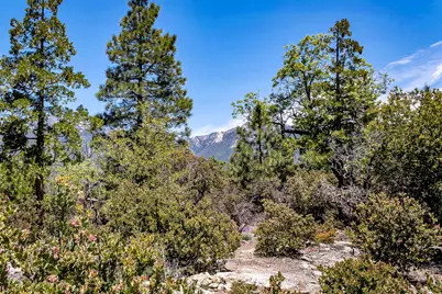 53021 Inspiration Lane, Idyllwild, CA 92549 - Photo 36