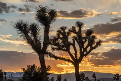 1 Aberdeen Drive, Yucca Valley, CA 92284 - Photo 8