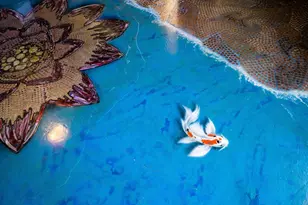 5845 Cholla Ave, Yucca Valley, CA 92284 - Photo 28