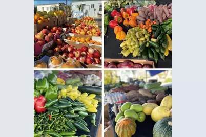 74711 Dillon Rd Spc 862, Desert Hot Springs, CA 92241 - Photo 26