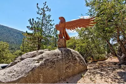 54560 Craghill Drive, Idyllwild, CA 92549 - Photo 6