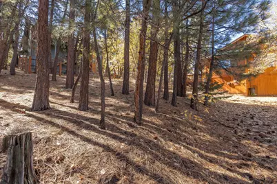 1409 Klamath Road, Big Bear City, CA 92314 - Photo 8