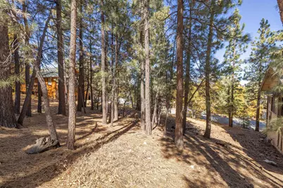 1409 Klamath Road, Big Bear City, CA 92314 - Photo 6