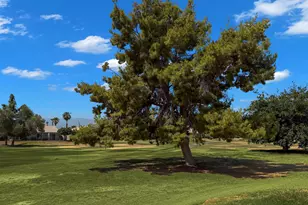 82515 Grant Dr, Indio, CA 92201 - Photo 12