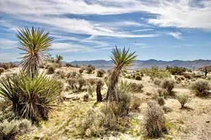 101 Nelson Rd, Yucca Valley, CA 92284 - Photo 26