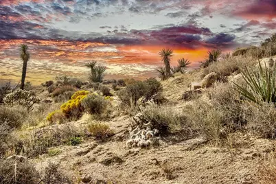 101 Nelson Road, Yucca Valley, CA 92284 - Photo 2