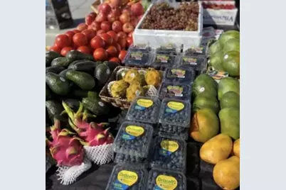 74711 Dillon Rd Spc 103, Desert Hot Springs, CA 92241 - Photo 18