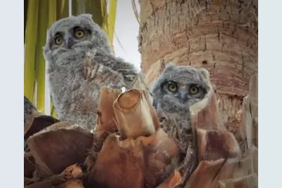 74711 Dillon Rd Spc 996, Desert Hot Springs, CA 92241 - Photo 44