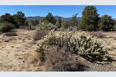 0 Rockwood, Mountain Center, CA 92561 - Photo 2