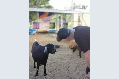 58562 Applegate Way, Landers, CA 92285 - Photo 34