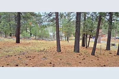 39731 Lakeview, Big Bear Lake, CA 92315 - Photo 12