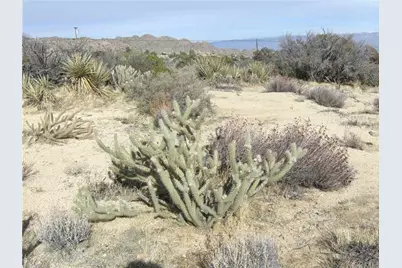 0 Carrizo Road, Mountain Center, CA 92561 - Photo 10