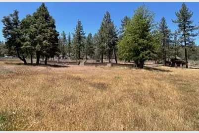 59777 Ca-74, Mountain Center, CA 92561 - Photo 2