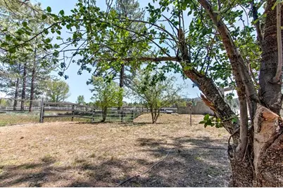 35290 Butterfly Peak Road, Mountain Center, CA 92561 - Photo 6