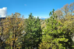 1294 Kodiak Dr, Lake Arrowhead, CA 92352 - Photo 4