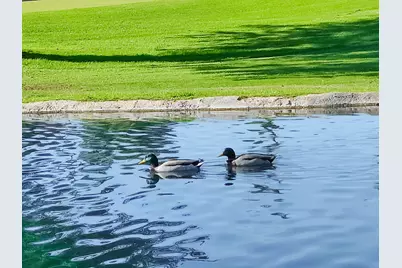 49211 Douglas Street, Indio, CA 92201 - Photo 1